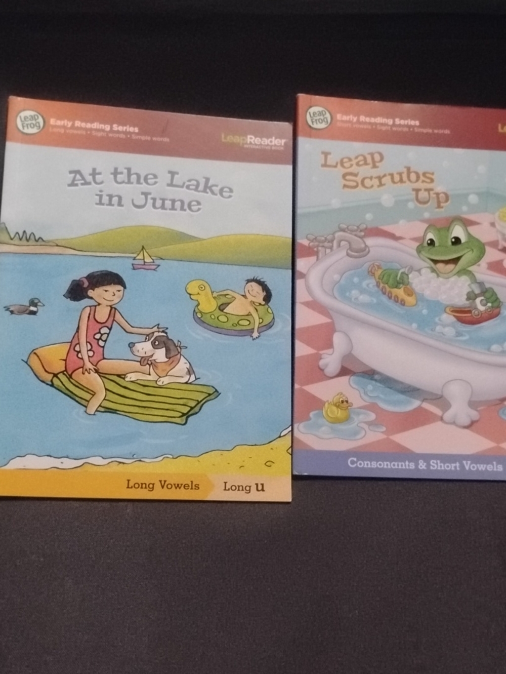 LeapFrog Early Reading Series: At the Lake in June – Blue Cover